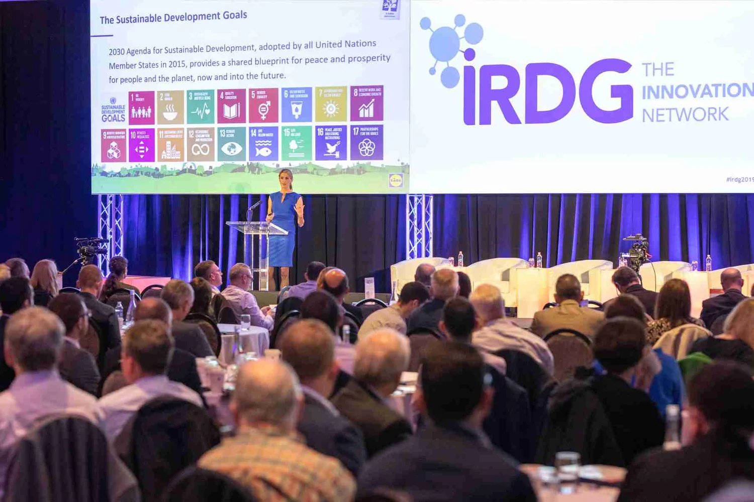 A full room at an IRDG session — a speaker at the lectern beneath a slide on the Sustainable Development Goals and the IRDG mark.